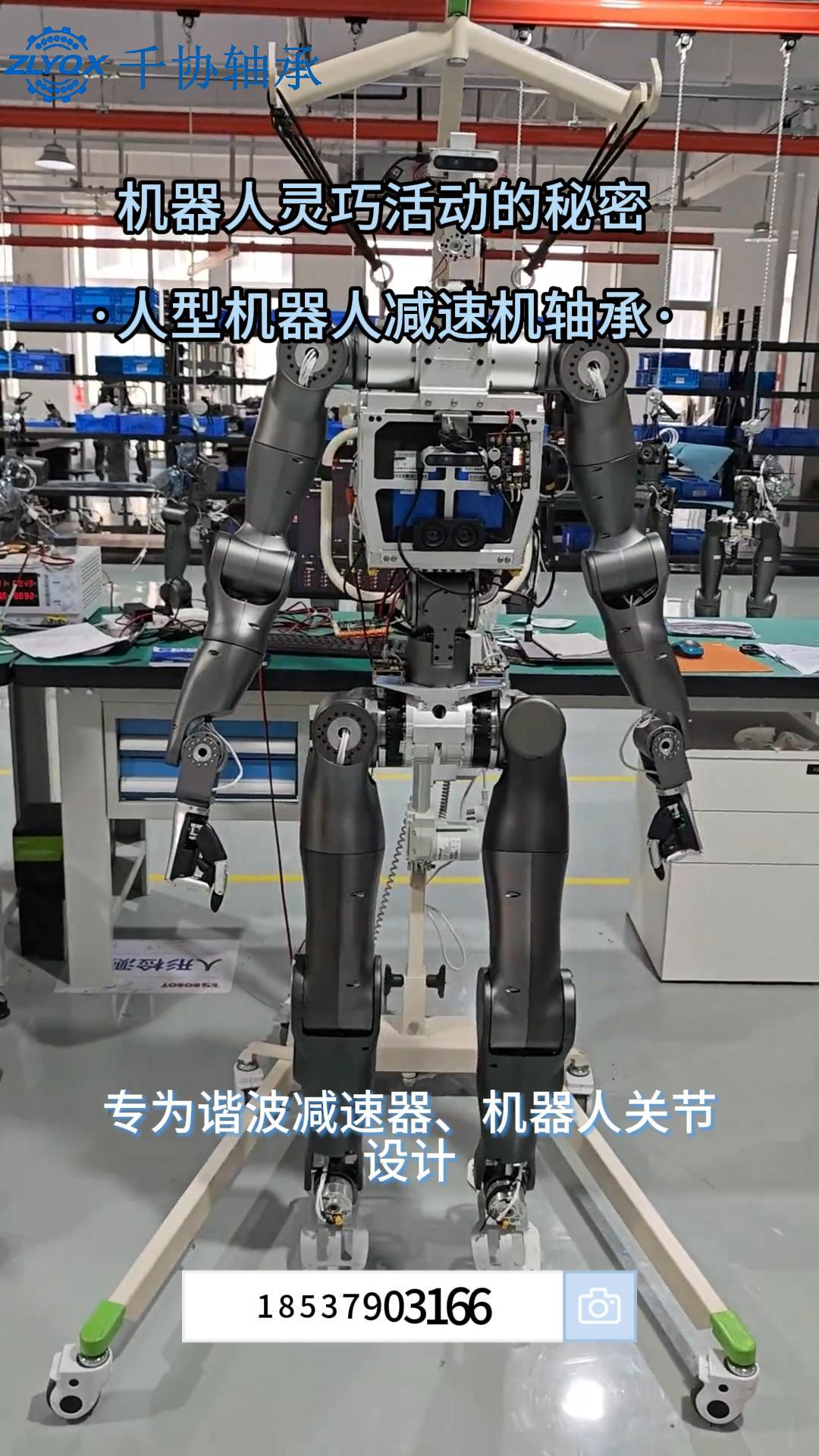 人型机器人减速机轴承